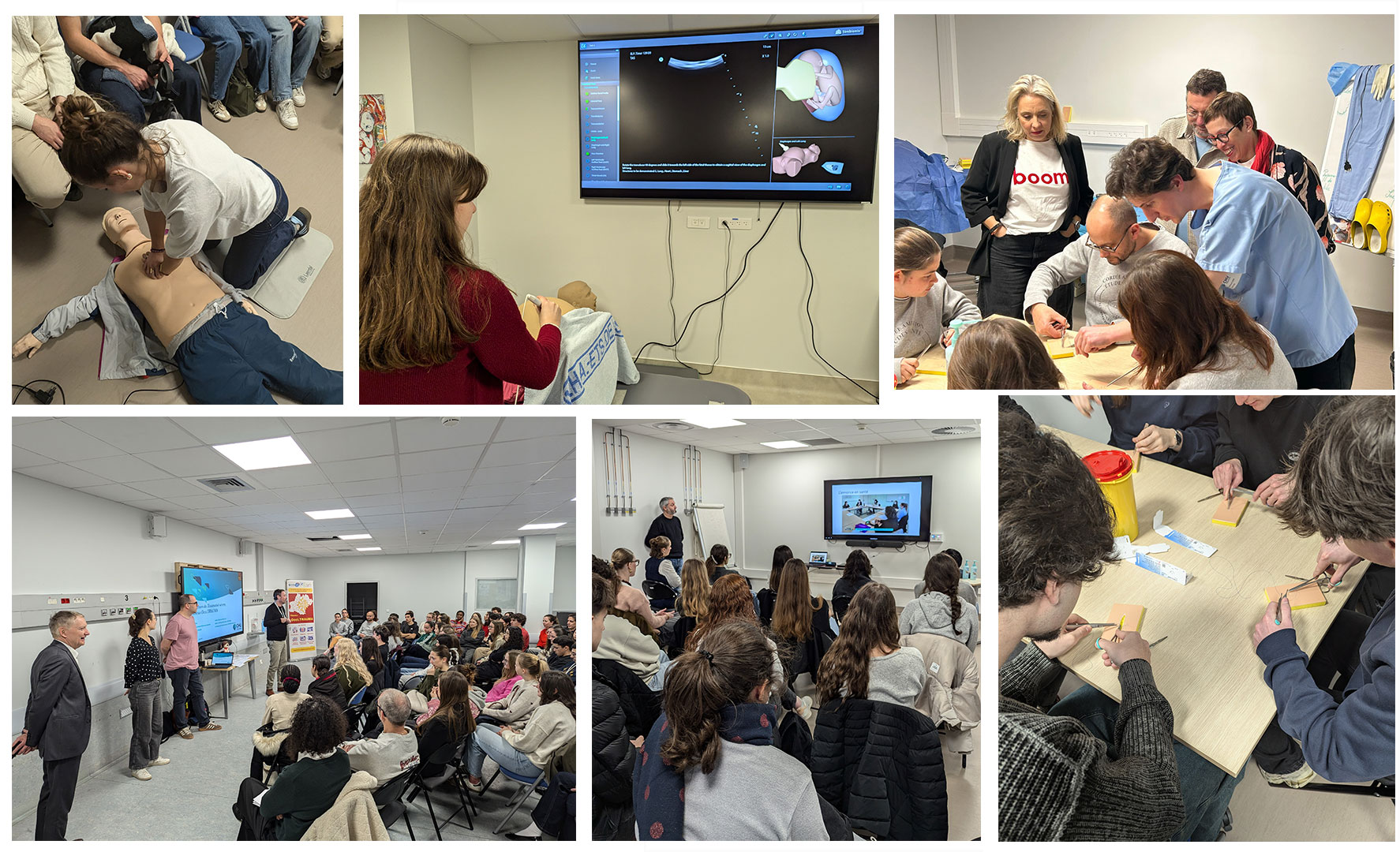 Mosaique Cordees 2026